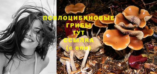 винт Дмитров