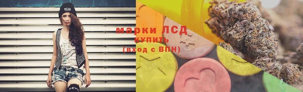 винт Дмитров