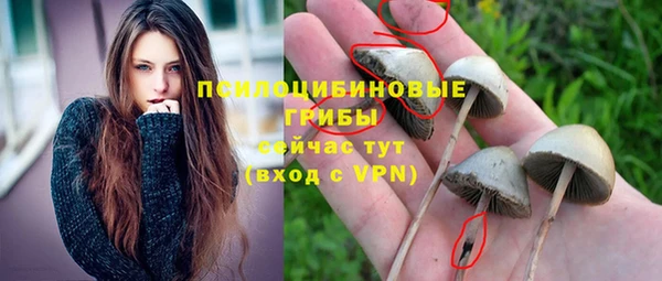 винт Дмитров